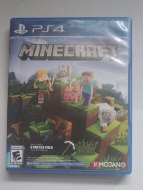 PS4 Minecraft video game